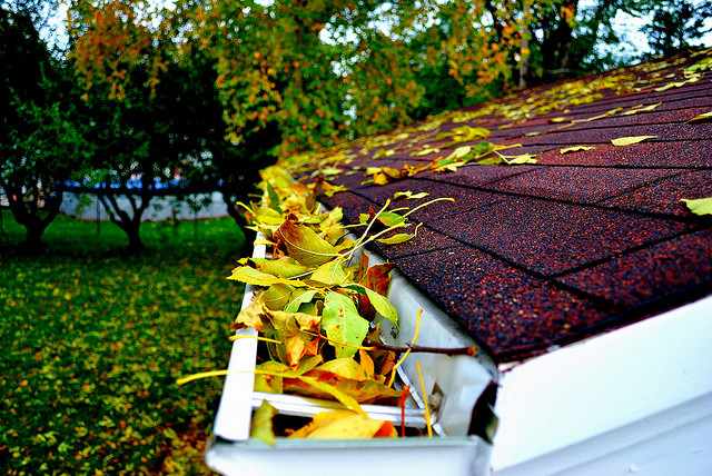 Leaves in Guttering